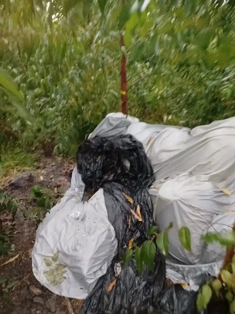 Foto: Divulgação/PCES