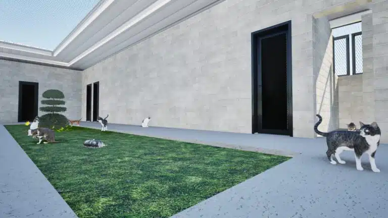 projeto de novo canil em penitenciária no ES 012