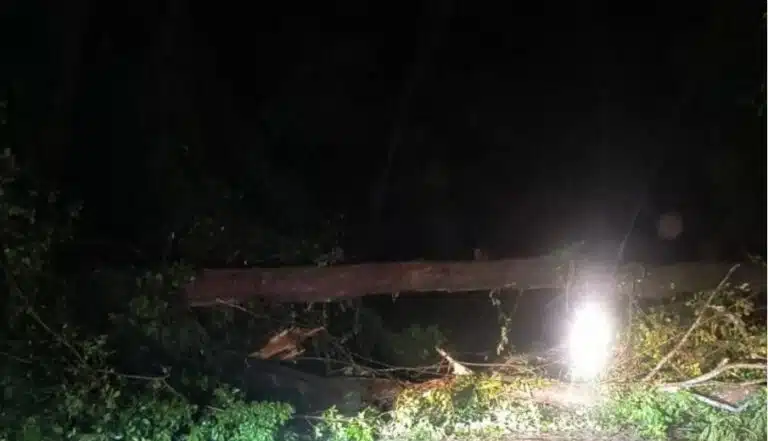 chuva em castelo 0414