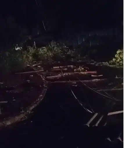 escola darcy ribeiro nova almeida