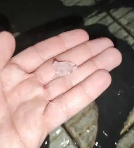 granizo em nova almeida