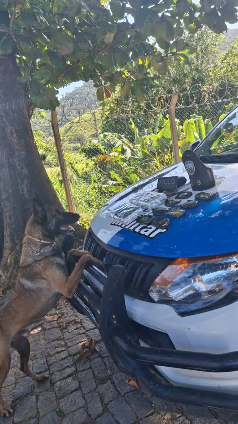 Foto: Divulgação/FICCO-ES