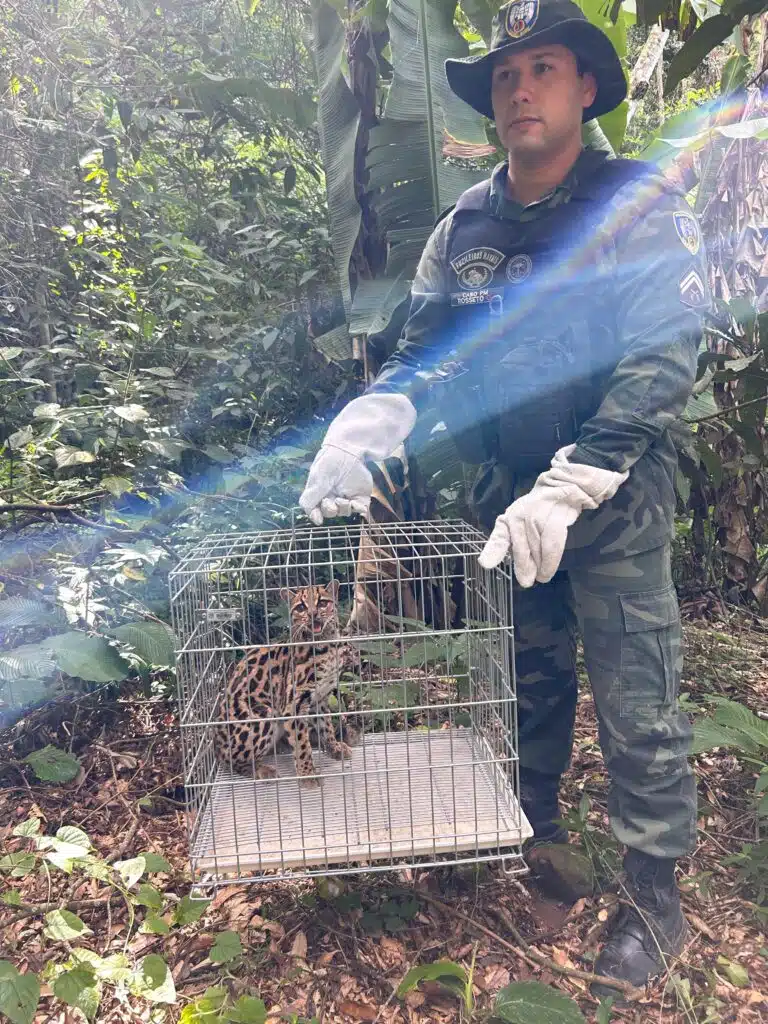 Foto: Divulgação/BPMA