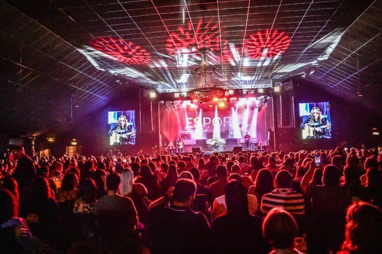 Casa lotada no show da Ana Carolina