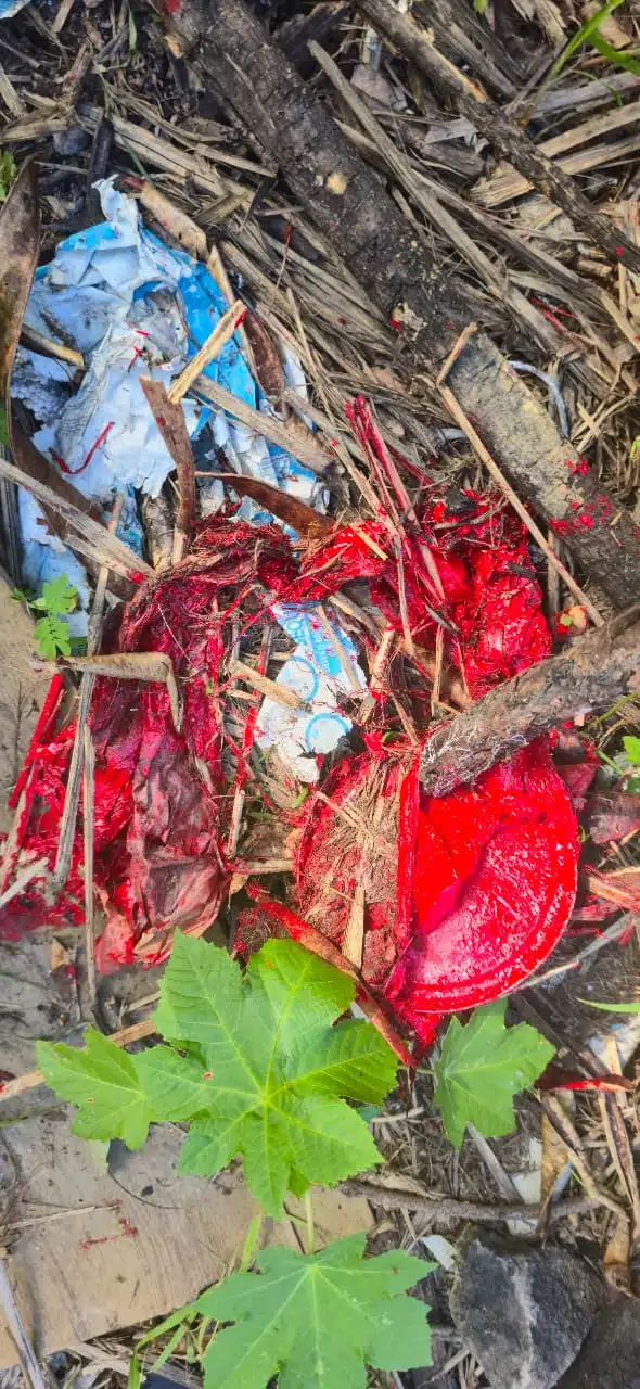 Foto: Fivulgação/PCES