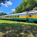 Viagens de trens da Vale: saiba quando serão retomadas