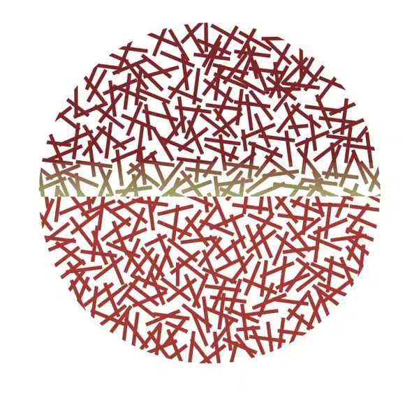 Exposição Inédita/ Dionísio Del Santo