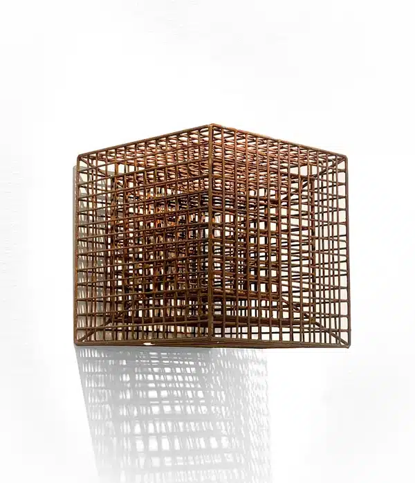 Exposição Inédita/ Dionísio Del Santo