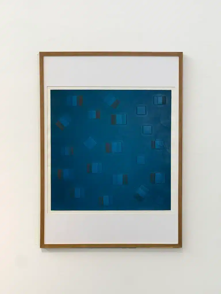 Exposição Inédita/ Dionísio Del Santo