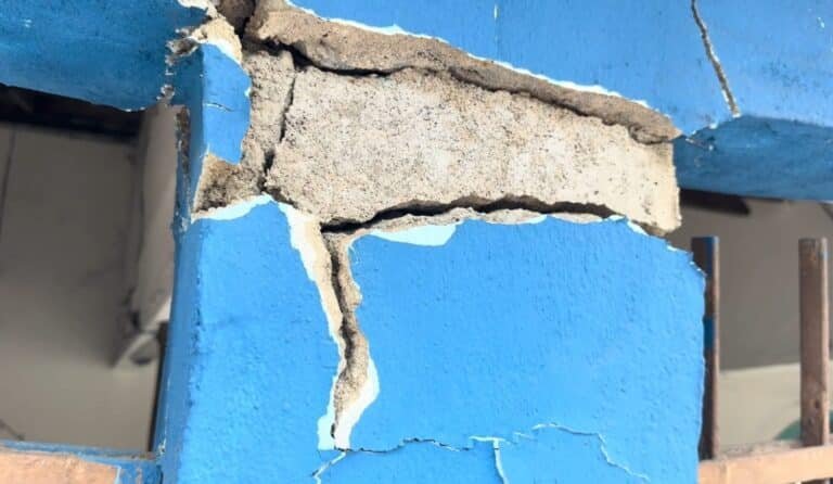 Foto: Reprodução/TV Sim SBT