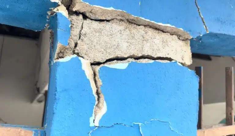 Foto: Reprodução/TV Sim SBT