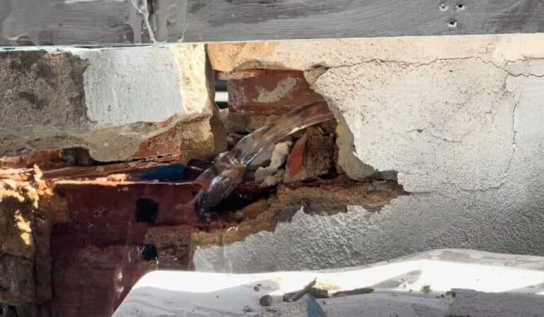 Foto: Reprodução/TV Sim SBT