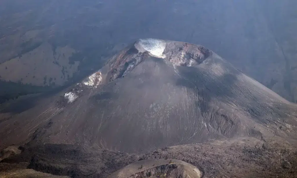 2023-11-07t000000z_2070662726_mt1imgost0002yyto5_rtrmadp_3_imago-images