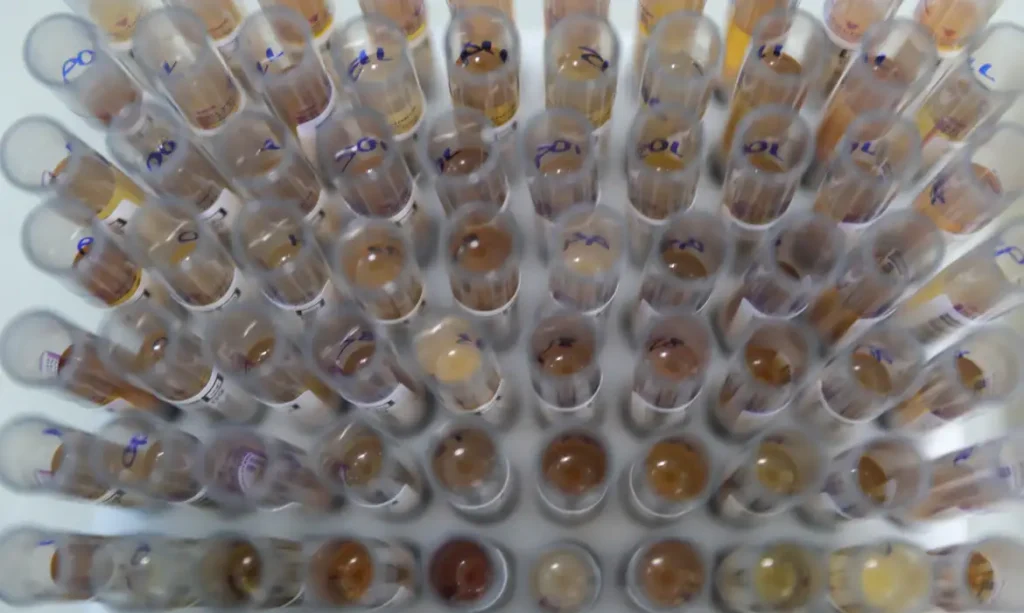 53648101607_05fbb4f626_o