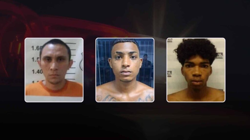 ARTE-SITE-mortos-guzadinha