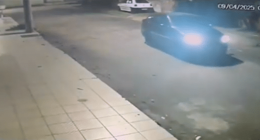 CARRO-ATROPELA-CAPIVARAS