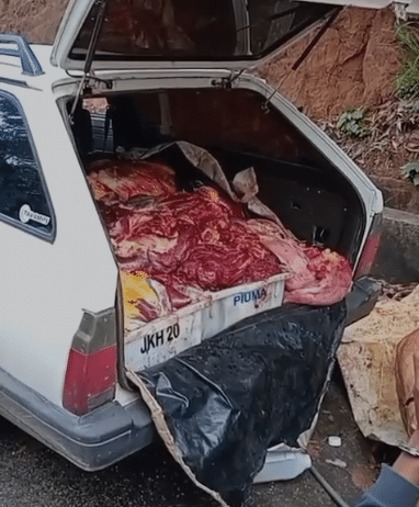 Captura-de-tela-2025-10-22-171149-e1761212919930