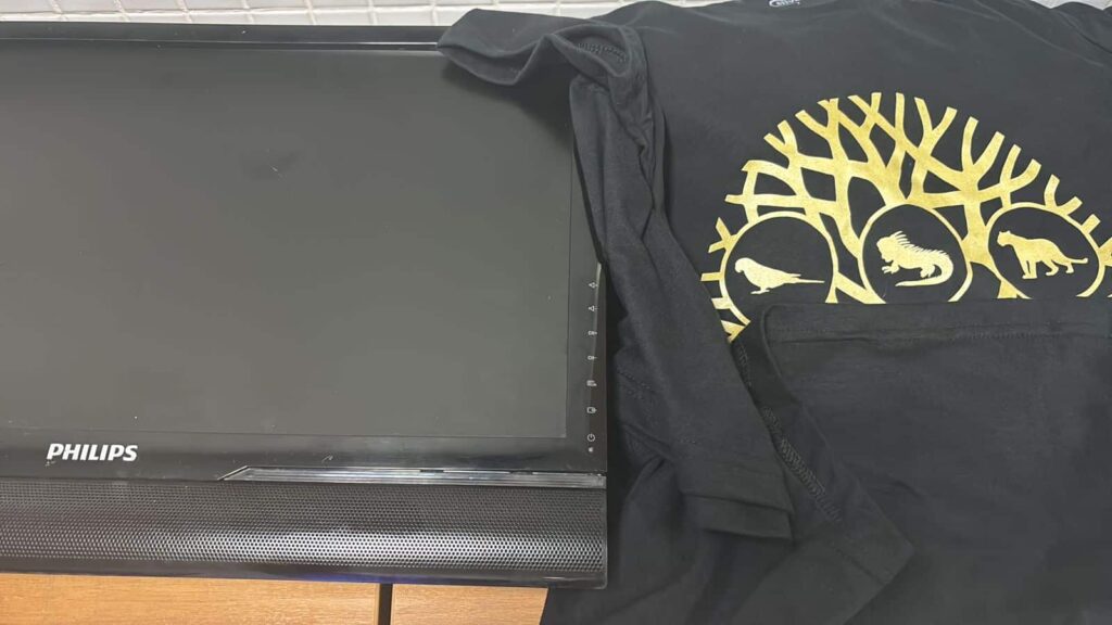 Furto-Clinica-Veterinaria