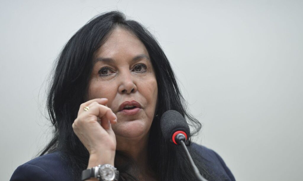 Senadora Rose de Freitas. Foto: Fabio Rodrigues Pozzebom/Agência Brasil