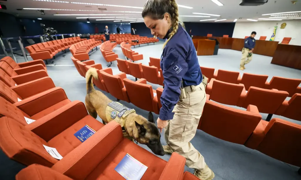 Supremo-Tribunal-Federal-Cao-Farejador