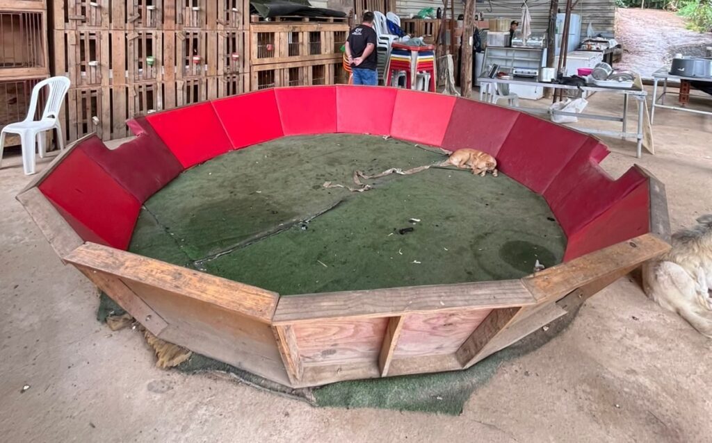 WhatsApp-Image-2025-05-26-at-11.58.46-1-e1748281739910