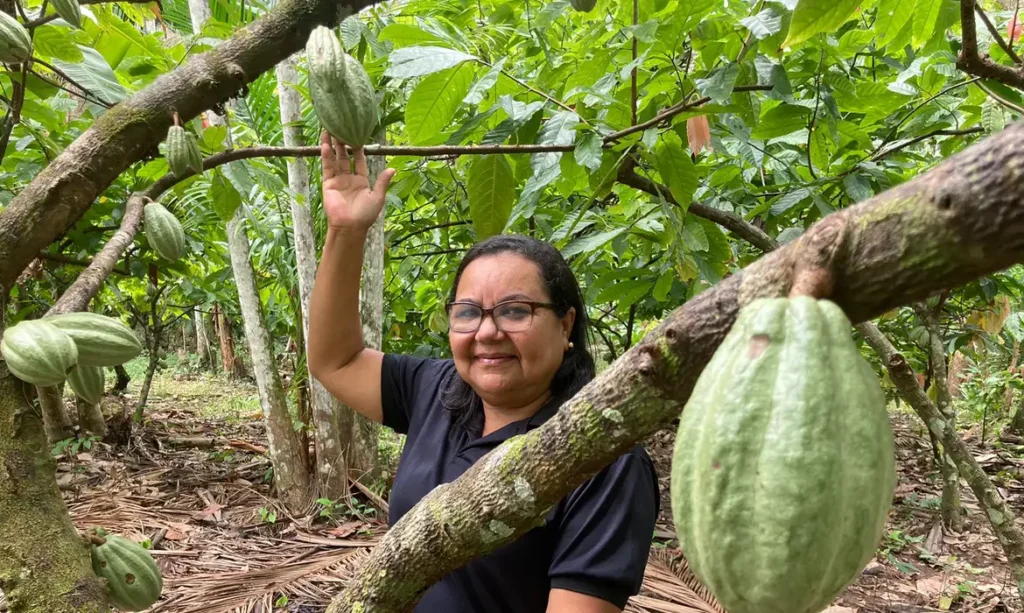 bioeconomia_no_para04