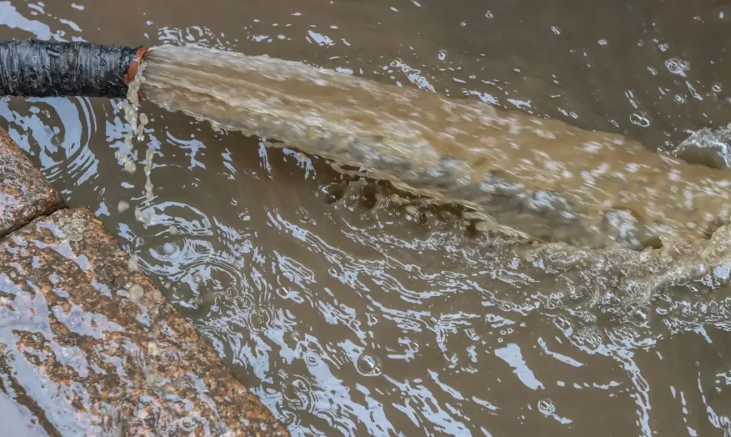 c930225e-0901-4cfe-9d14-f3fe934b3655