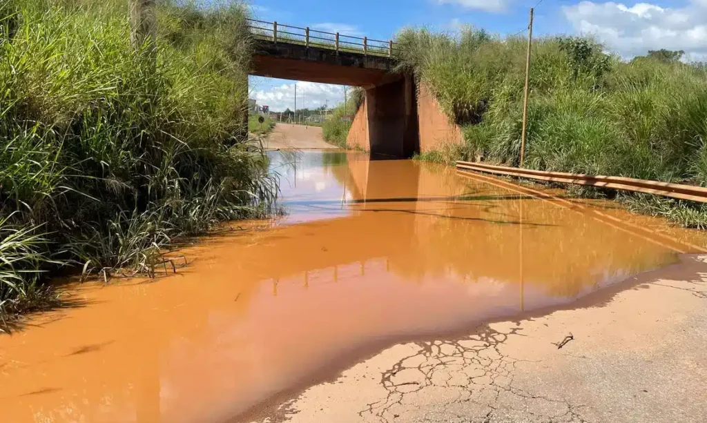 imagens_maria_julia_nascimento_1