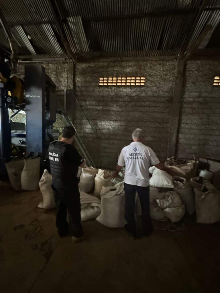 pimenta-x-768×1024-1