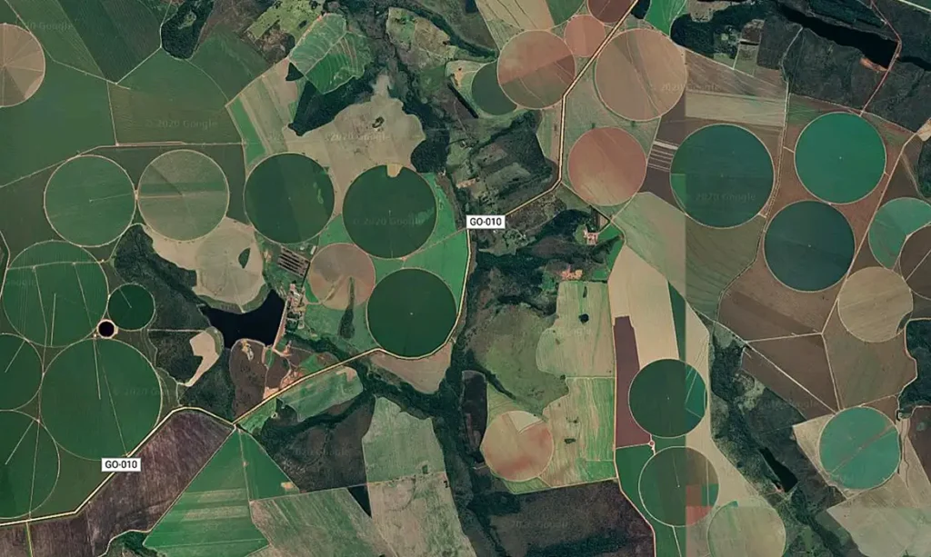 plantacao_de_satelite_001