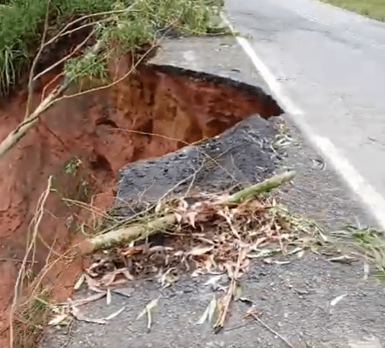 Captura de tela 2026-02-27 133758