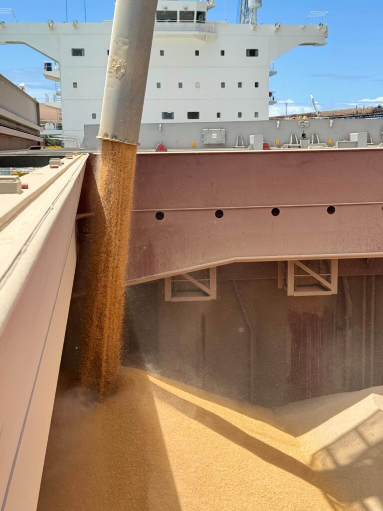 TPD-Milho-VLI_Divulgacao-scaled