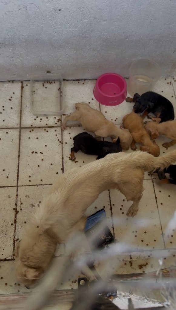 WhatsApp Image 2026-02-23 at 15.50.40