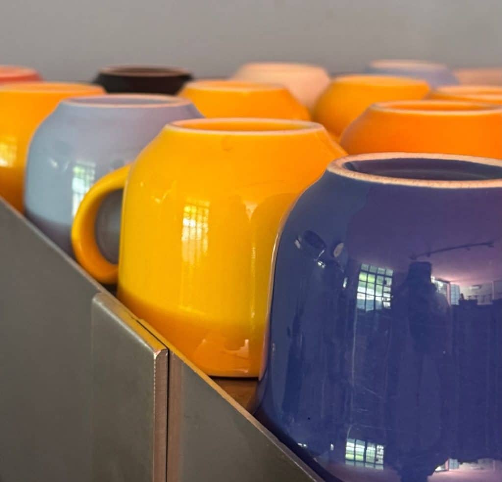 WhatsApp Image 2026-02-25 at 15.31.35