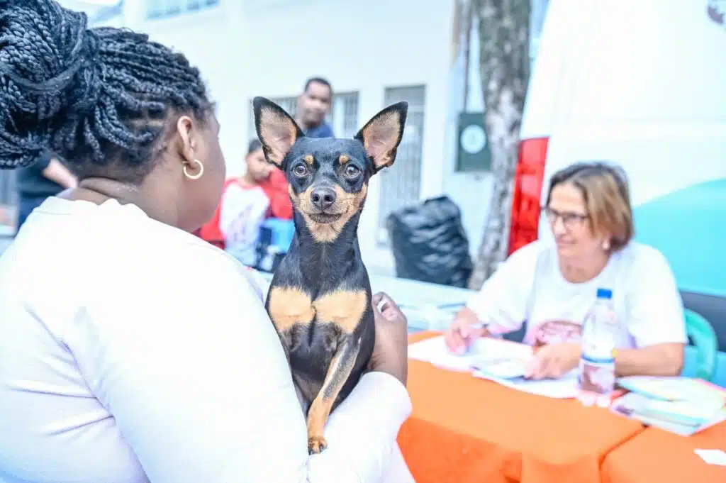 Atendimento aos pets também faz parte do Vitória Com Você, com cadastro para castração, orientações veterinárias e ações de cuidado e bem-estar animal