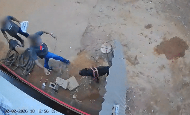 Captura de tela 2026-03-04 160726