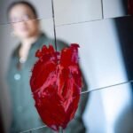 Exposição “Coração é Território” abre nova fase da galeria do SESI