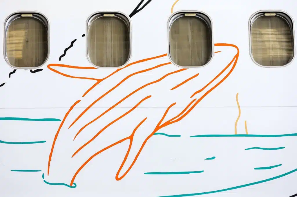 GOL destaca as belezas do Espírito Santo em nova aeronave