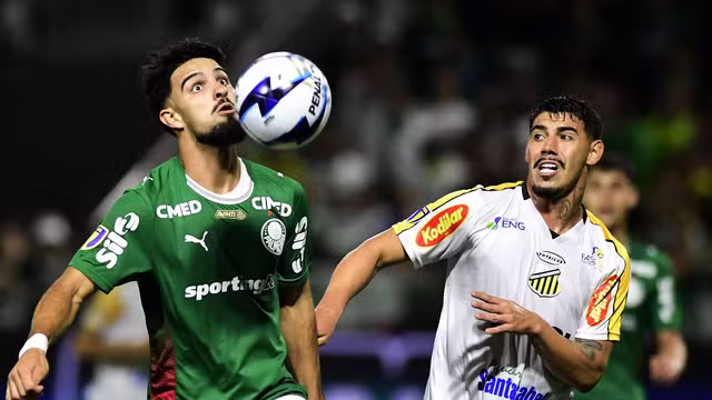 Palmeiras x Novorizontino final paulistão