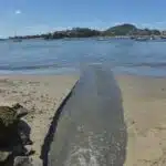 MPES quer solução em até 45 dias para “mancha” no mar de Vitória