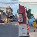 Ataque de abelhas deixa seis feridos e causa pânico em Vila Velha