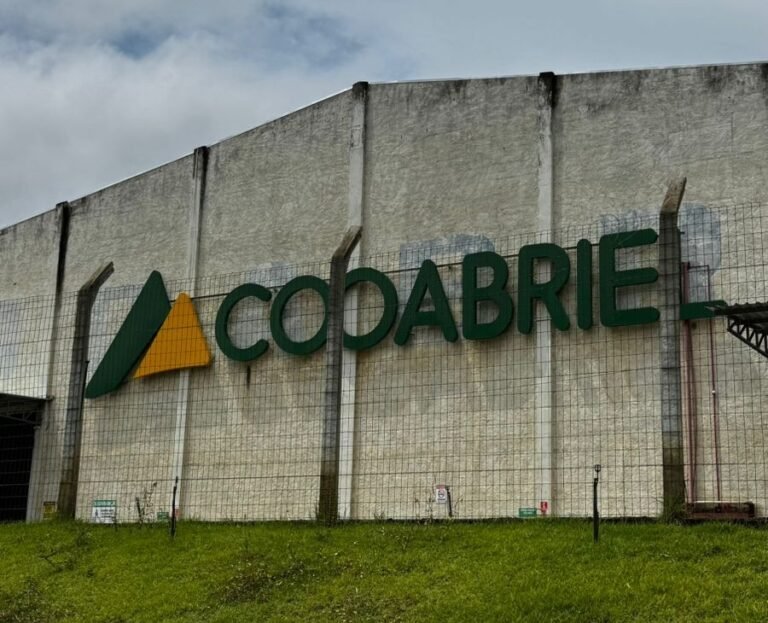 Crescimento foi de 17% em relação ao ano anterior. Foto: Divulgação