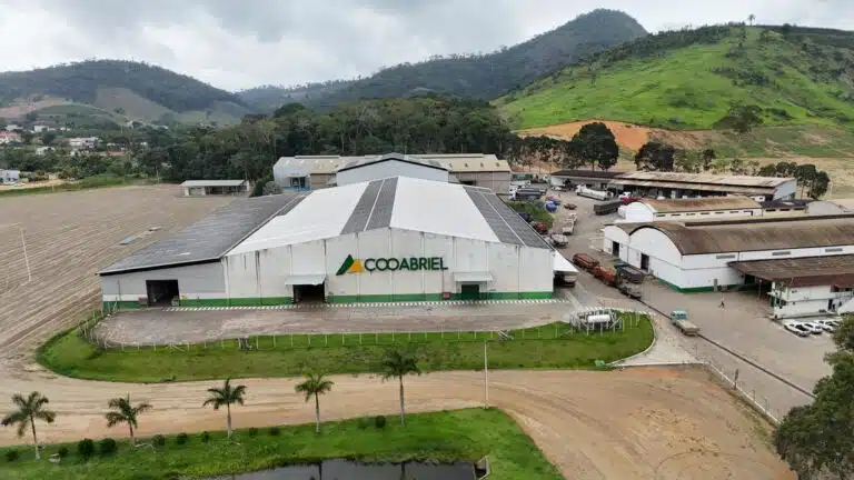 Cooperados da Cooabriel somam mais de R$2,2 milhões em premiação por cafés sustentáveis