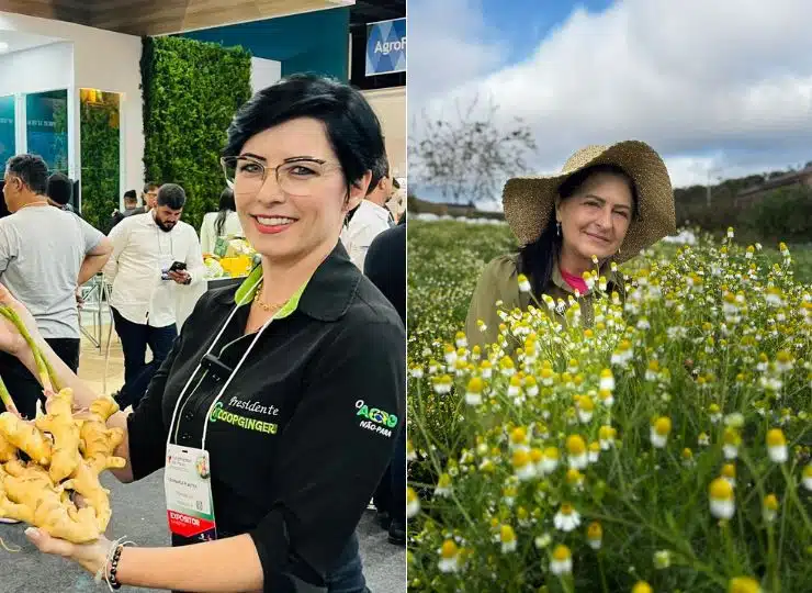 Mulheres se destacam no comando de cooperativas capixabas