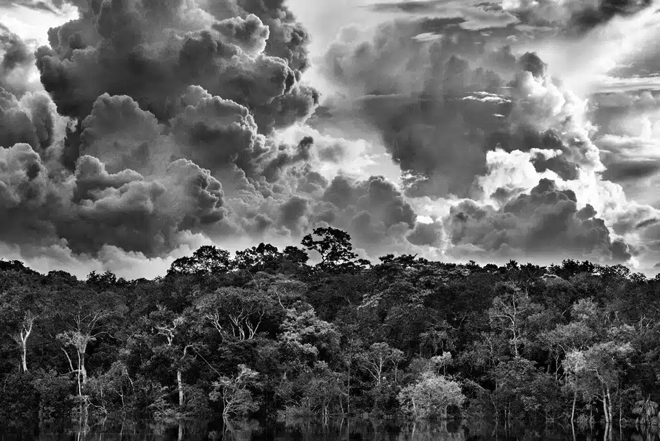 Arquipélago de Mariuá, Médio Rio Negro. Estado do Amazonas, Brasil, 2019, Sebastião Salgado