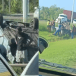 Jovem morre em acidente na Rodovia Leste-Oeste em Cariacica