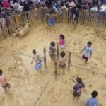 Festa no ES tem disputa na lama onde vencedor leva o porco