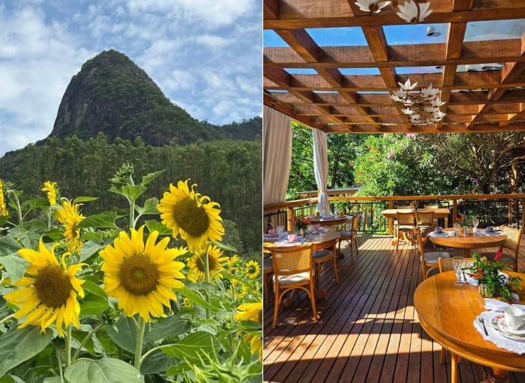 Florada Café em Ibiraçu