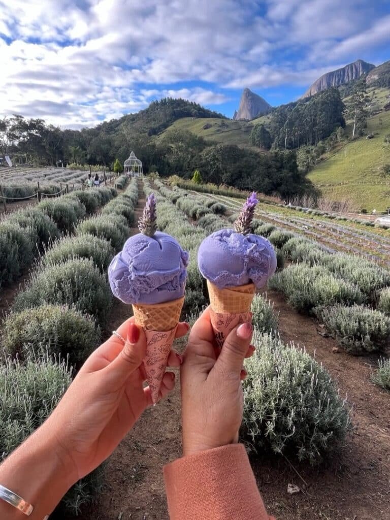 Lavandário Pedra Azul