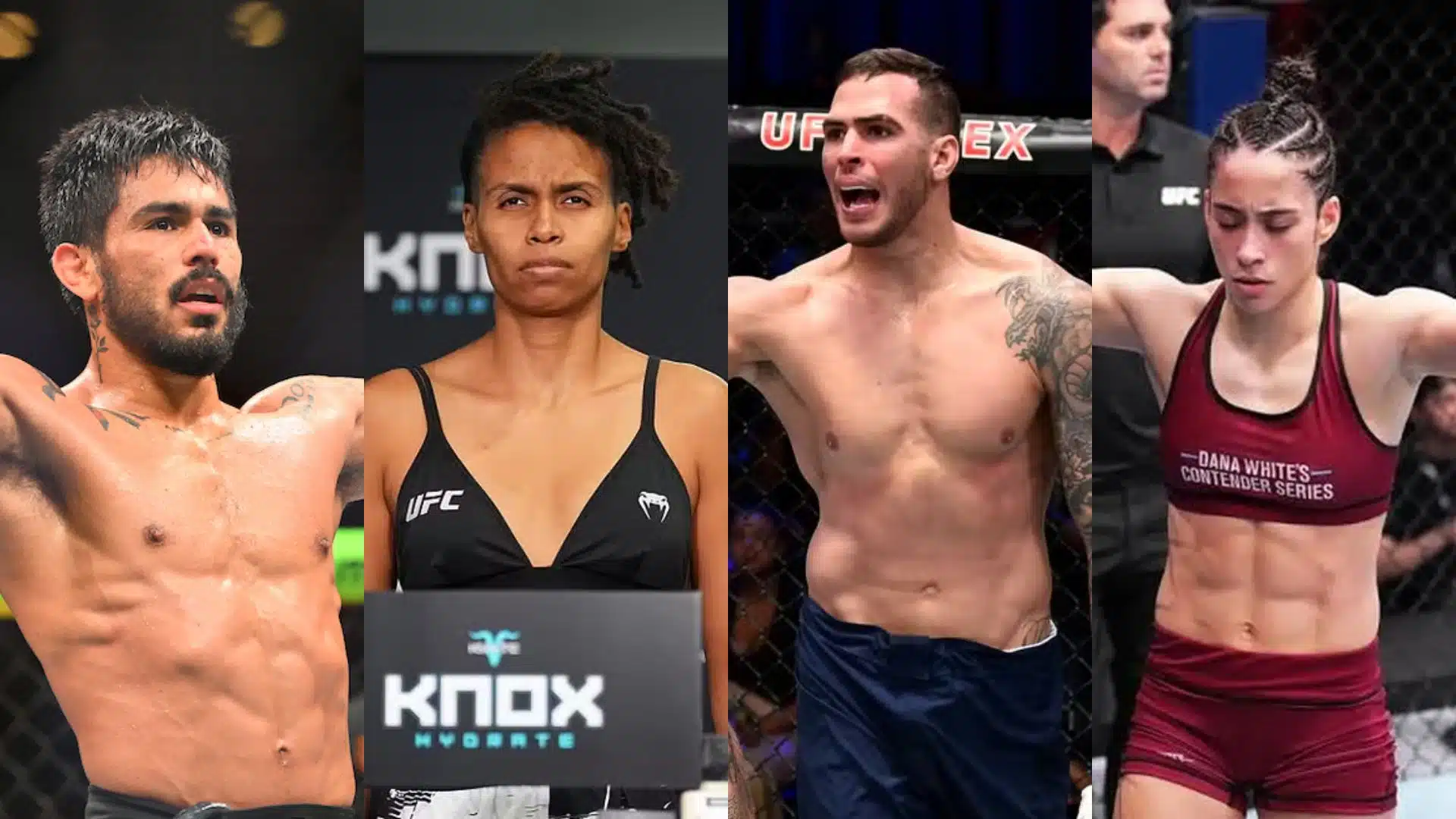 UFC dispensa quatro lutadores brasileiros e encerra contratos